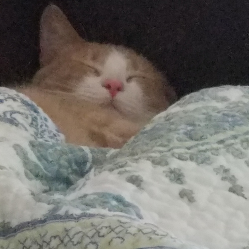 Don't Snooze through the Deals!